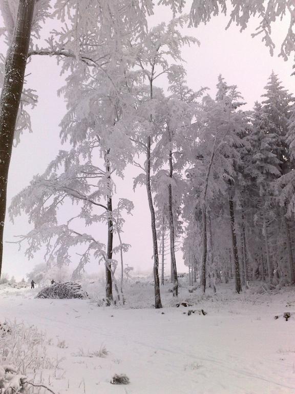 Heidehotel Hildfeld Winterberg Esterno foto